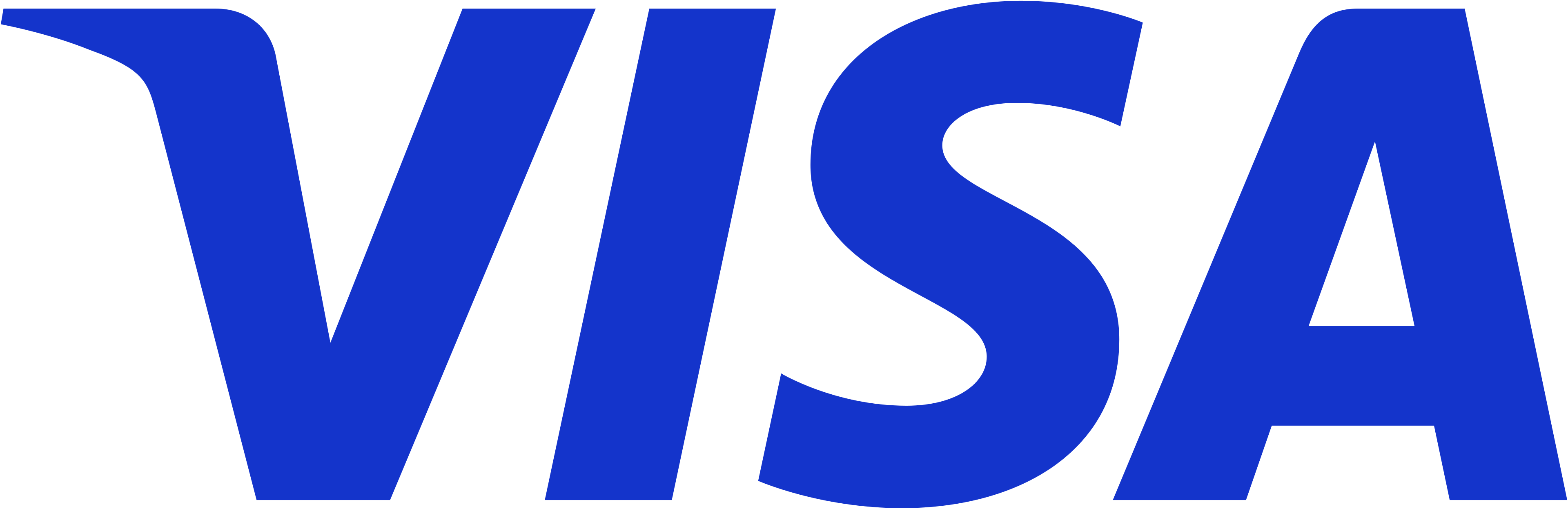Visa Card